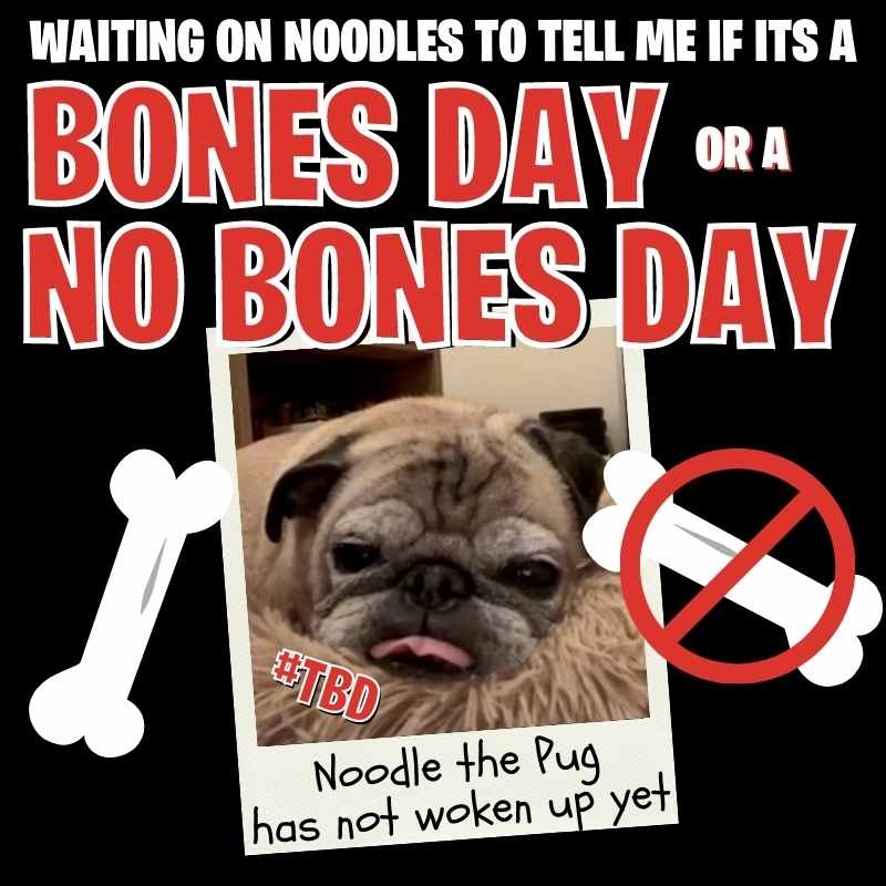 IS TODAY A BONES OR NO BONES DAY? HERE'S HOW NOODLE THE PUG PREDICTS YOUR  DAY FOR YOU – PROTECT ALL WILDLIFE