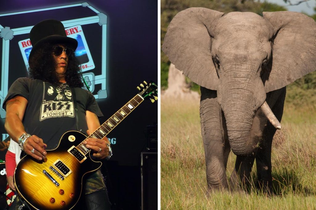 Slash's Journey from Guns N' Roses Lead Guitarist to Solo Projects - WSJ